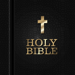 Holy bible book
