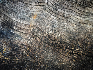 Old wood texture for abstract background.