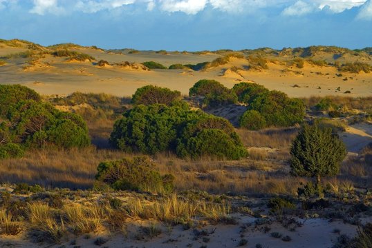 Parque nacional de Do&ntilde;ana