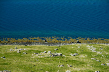 Iceland lake during summer