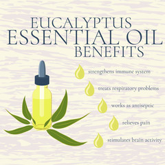 Benefits of eucalyptus essential oil. infographics. Reasons to use eucalyptus essential oil. A bottle of eucalyptus oil. Isolated vector illustration.
