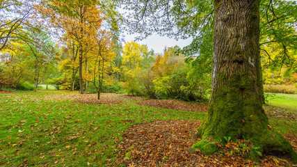 Washington park arboretum