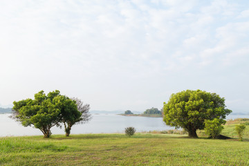 beautiful view of the tree at the reservoir, Pompi National Park