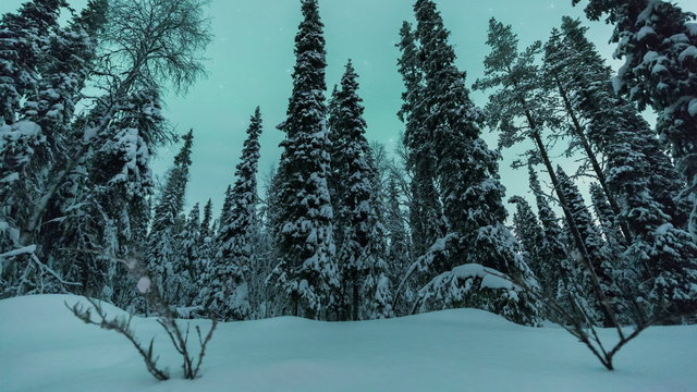 Northern lights timelapse in Lapland forest sliding pan scene