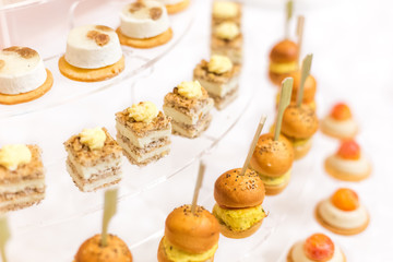 assortment Appetizers and finger food