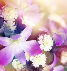 beautiful flowers made with color filters

