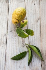 limone biologico con foglie su asse di legno