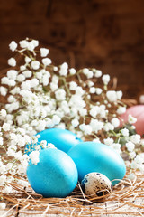 Fototapeta na wymiar Blue Painted Easter eggs and quail eggs in the straw with a smal