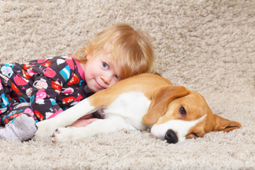 Beagle dog and a little girl