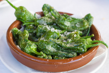 Fried green peppers Padron with sea salt
