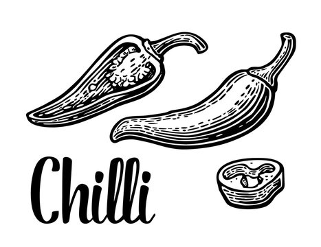 Сhilli pepper - whole, half, slices, isolated on white background. Vector vintage engraved illustration.