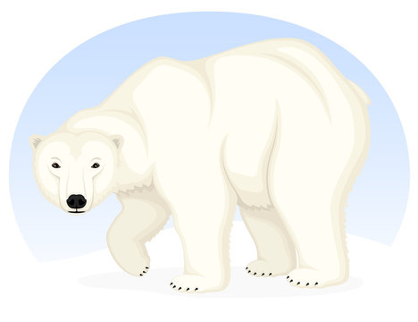 Vector illustration of a cartoon polar bear against a sky blue background.