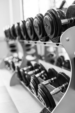 gym  weights black and white