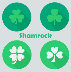 Green clover leaves. Vector illustration