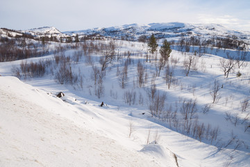 Winterlandschaft in Schweden