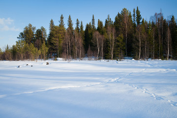 Fototapeta premium Abendstimmung über einem gefrorenen See in Schweden 
