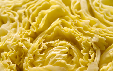 Sezione di cavolo verza