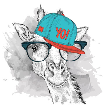 The poster with the image giraffe portrait in hip-hop hat. Vector illustration.