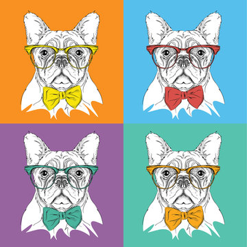 Image Portrait of dog in the cravat and with glasses. Pop art style vector illustration.