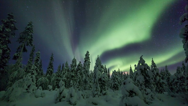 Northern lights timelapse in Lapland forest sliding pan scene