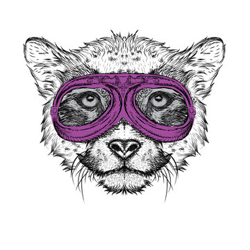 Portrait of a cheetah in motorcycle glasses. Vector illustration