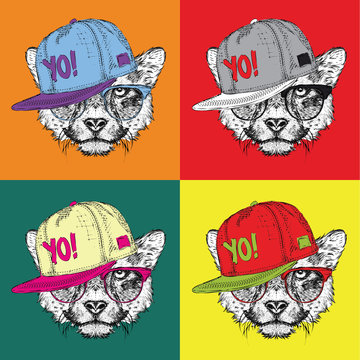 Image Portrait of cheetah in the glasses and in hip-hop hat. Pop art style vector illustration.
