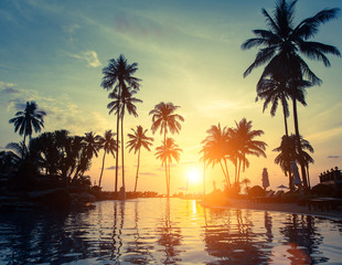 Naklejka na ściany i meble Palm trees on a tropical seaside during amazing sunset.