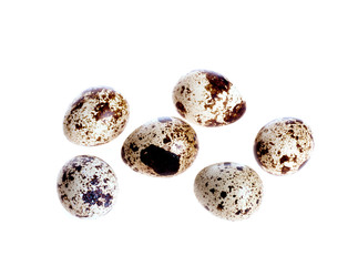 Obraz premium quail eggs on the white