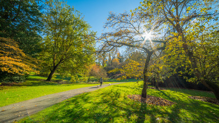 Naklejka na ściany i meble Washington park arboretum, Autumn
