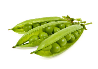 a pea green is in a pod