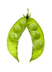a pea green is in a pod