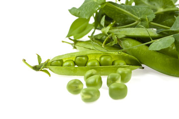 a pea green is in a pod