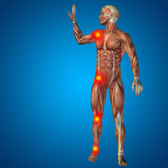 Conceptual 3D human man anatomy joint pain body on blue background