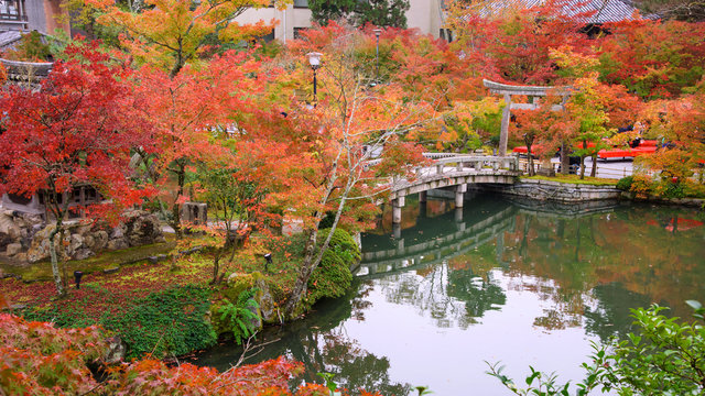 autumn foliage at Eikando Temple,  Kyoto