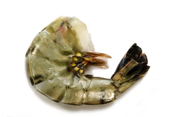 Zelfklevend Fotobehang fresh raw black tiger prawn without head ready to grill or cook, © Maren Winter