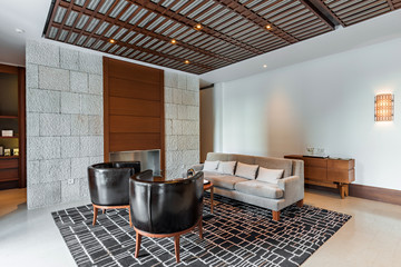 Interior luxury living room