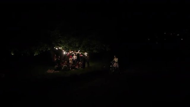 Группа людей стоят под большим деревом с гирляндой ночью в парке