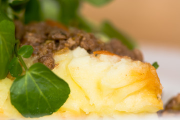 Wild boar pie parmentier. A classic French dish of wild boar topped with mashed potato
