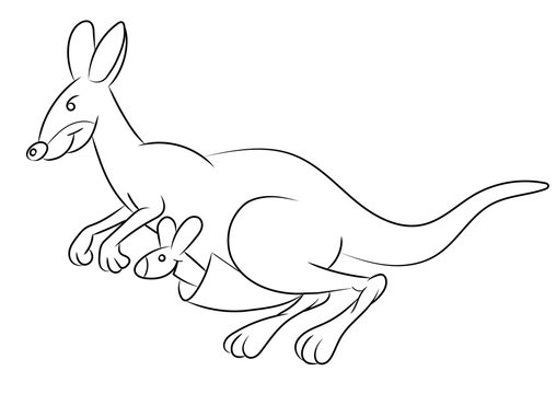 Illustration of an animation kangaroo.