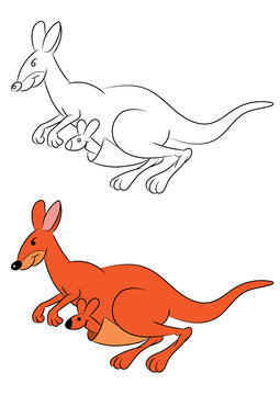 Illustration of an animation kangaroo.