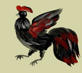 rooster, painting, black, red, yellow