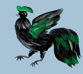 rooster, painting, black, blue, green