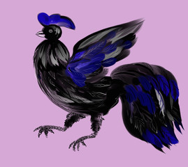 rooster, painting, black, pink, blue, purple