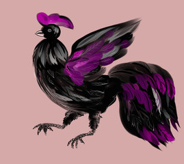 rooster, painting, black, pink,