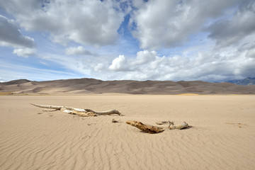 The remains of a tee lie partially buried by the desert sands near Sand Dunes National Park in southern Colorado.