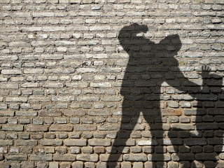 Shadow of Men in Fight - obrazy, fototapety, plakaty