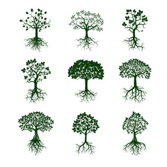 Collection of Green Trees and Roots. Vector Illustration.