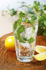 モヒート　ドリンク　Mojito drink