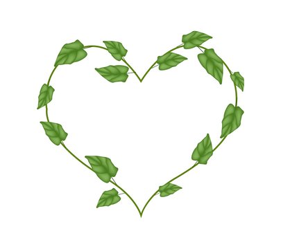 Green Vine Leaves in Beautiful Heart Shape Wreath
