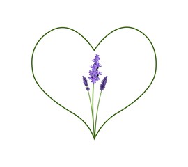 Beautiful Violet Lavender in A Green Heart Shape